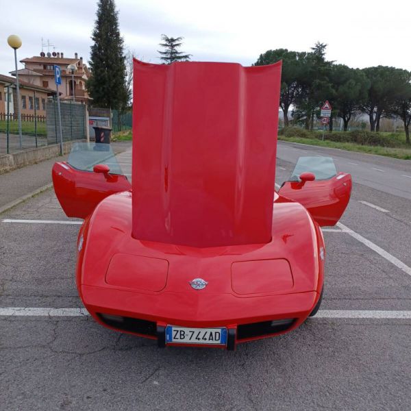 Chevrolet Corvette 25th Anniversary 1978 97284