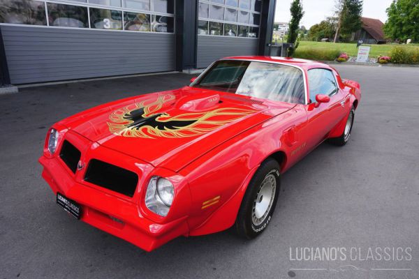 Pontiac Firebird TransAm 1976 33914