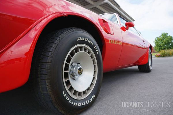 Pontiac Firebird TransAm 1976 33916