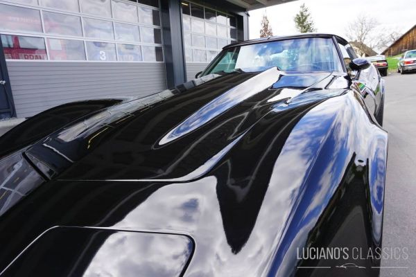 Chevrolet Corvette Sting Ray 1979 122024