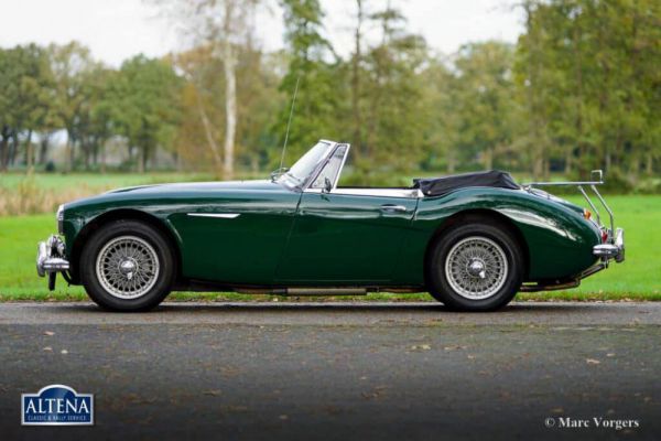 Austin-Healey 3000 Mk III (BJ8) 1966 1060