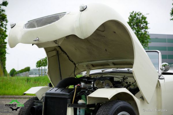 Austin-Healey Sprite Mk I 1958 12061