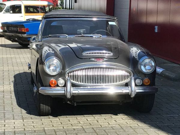 Austin-Healey 3000 Mk III (BJ8) 1966 95519