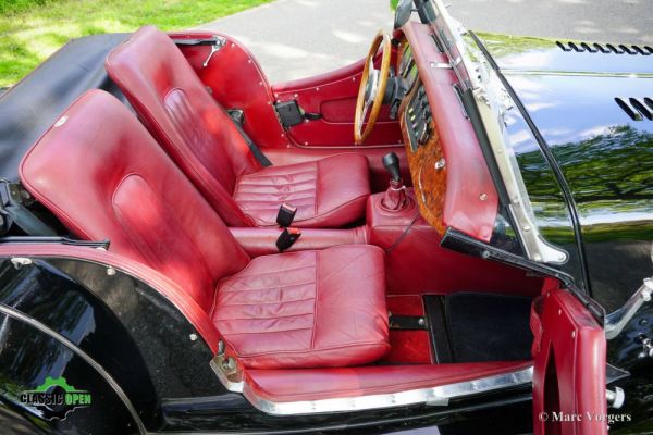 Morgan Plus 8 1992 119751