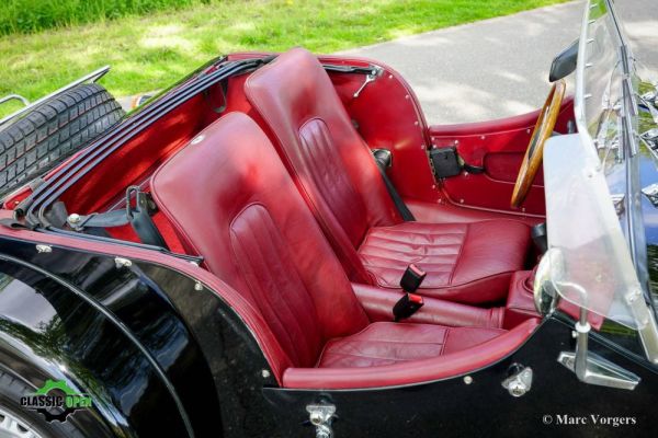 Morgan Plus 8 1992 119753