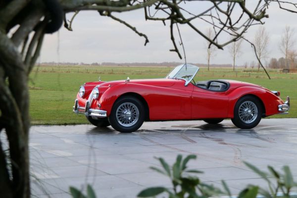 Jaguar XK 140 OTS 1956 129993