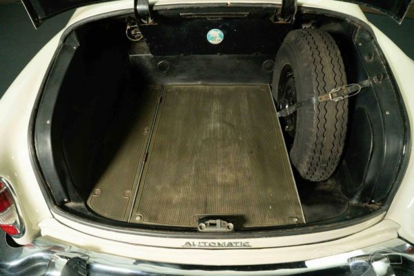 Mercedes-Benz 300 d 1961 120541