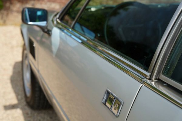 Maserati Kyalami 1978 16208