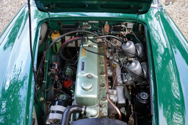 Austin-Healey 3000 Mk III (BJ8) 1967 17844