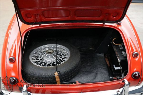 Austin-Healey 3000 Mk II (BJ7) 1963 19720