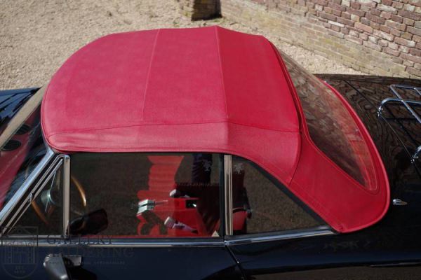 Fiat Spider 2000 1981 93357