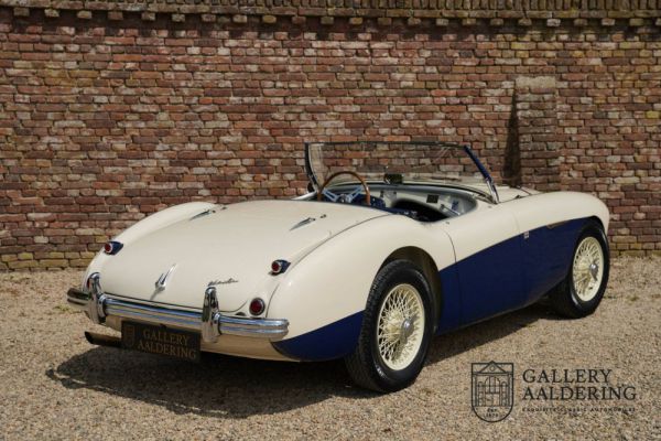 Austin-Healey 100/4 (BN1) 1954