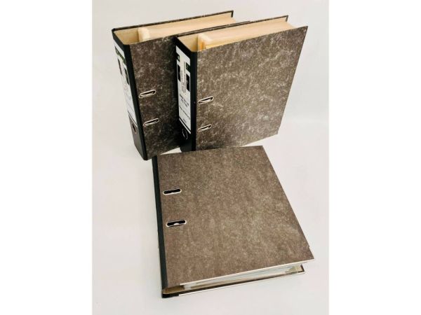 BMW 501 V8 1965 131400