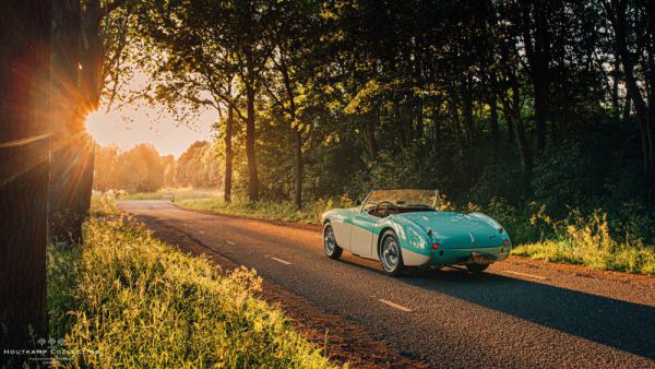 Austin-Healey 100/4 (BN1) 1954 28918