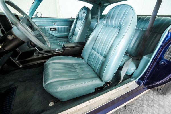 Chevrolet Camaro 1979 27625