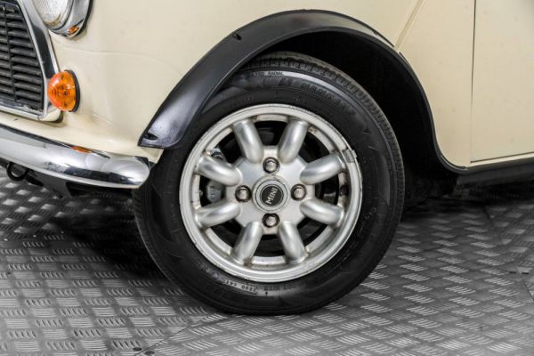 Rover Mini 1.3i 1992 64901