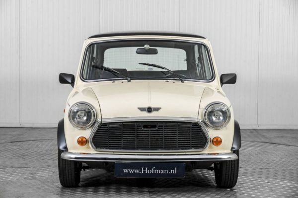 Rover Mini 1.3i 1992 64913
