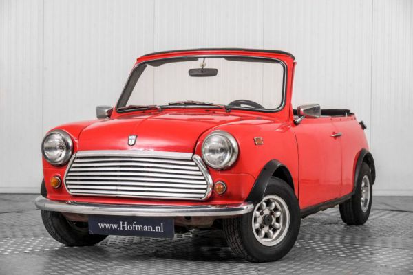 Mini 1100 Special 1979 65285