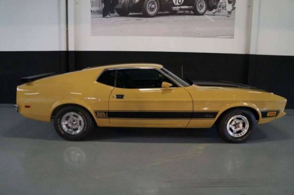 Ford Mustang Mach 1 1973