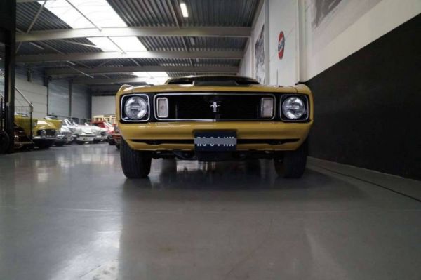 Ford Mustang Mach 1 1973 82784