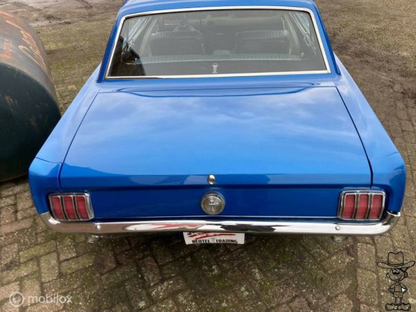 Ford Shelby GT 350 1966 108357