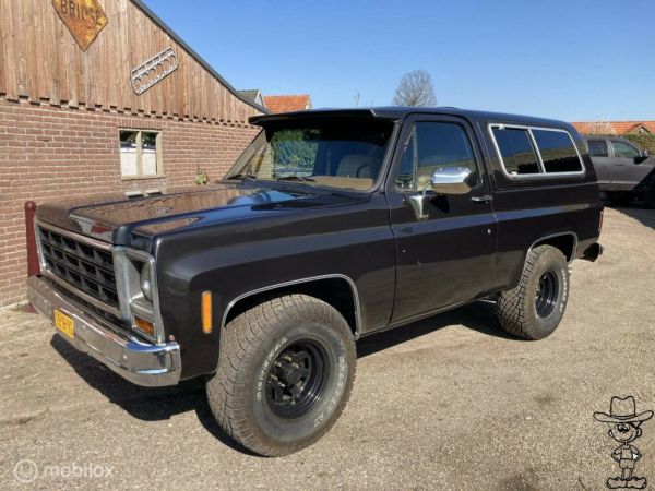 Chevrolet Blazer 1979 124557