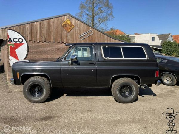 Chevrolet Blazer 1979 124558