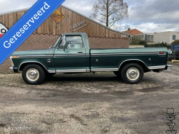 Ford F-250 1974 130505