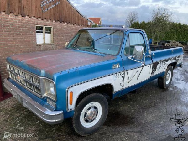 Chevrolet C 20 1978 130522