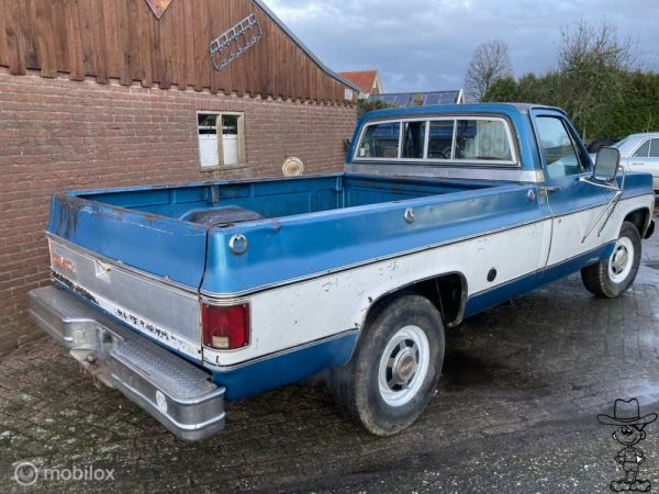 Chevrolet C 20 1978 130523
