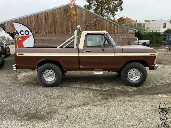 Ford F-100 1974 131237