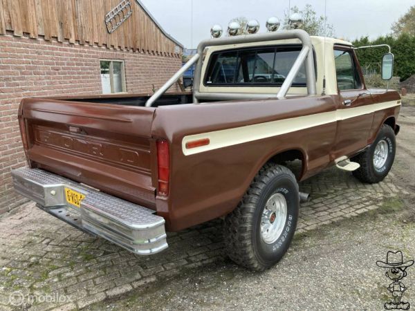 Ford F-100 1974 131238