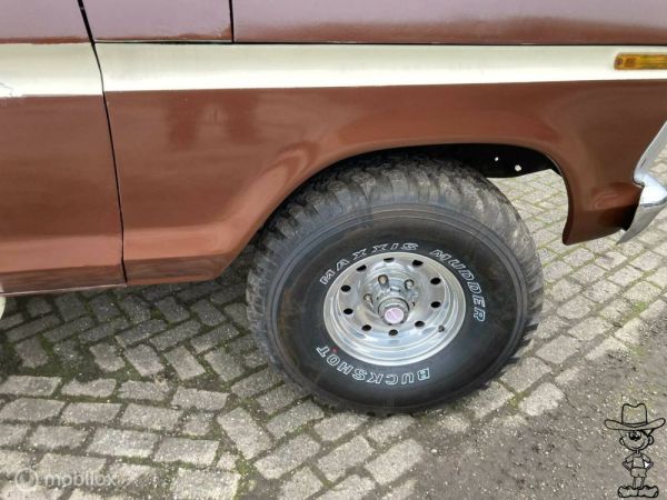 Ford F-100 1974 131244