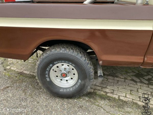 Ford F-100 1974 131245