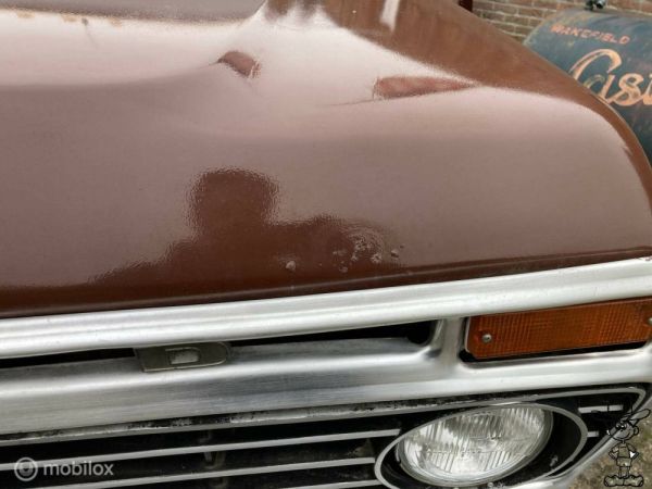 Ford F-100 1974 131246