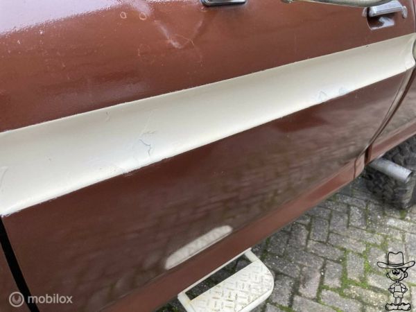 Ford F-100 1974 131247