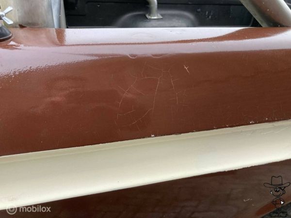 Ford F-100 1974 131249