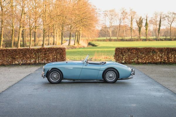 Austin-Healey 100/4 (BN1) 1955 127446