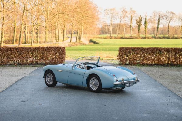 Austin-Healey 100/4 (BN1) 1955 127447