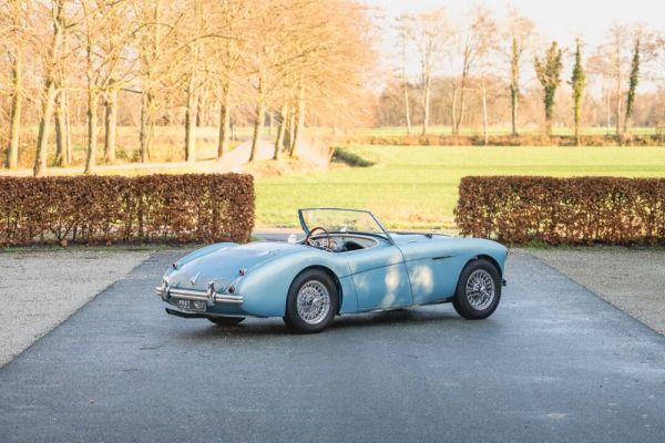 Austin-Healey 100/4 (BN1) 1955 127449