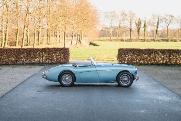 Austin-Healey 100/4 (BN1) 1955 127450