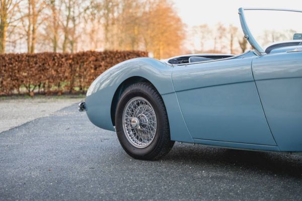 Austin-Healey 100/4 (BN1) 1955 127458