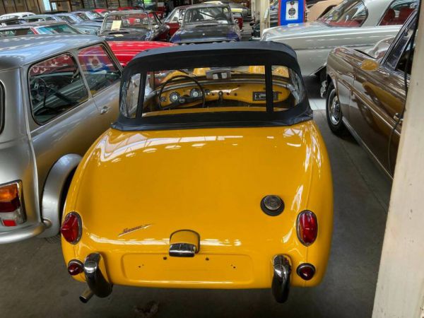 Austin-Healey Sprite Mk I 1959 52229