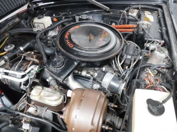 Studebaker Avanti 1984 54901