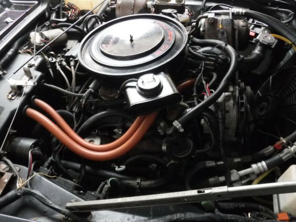 Studebaker Avanti 1984 54902