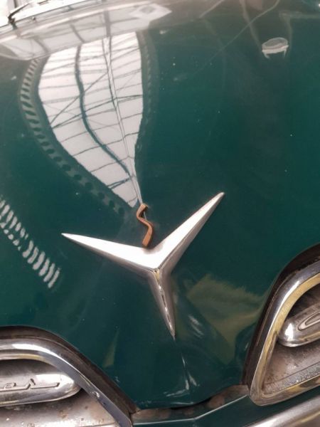 Studebaker Champion 1954 54916