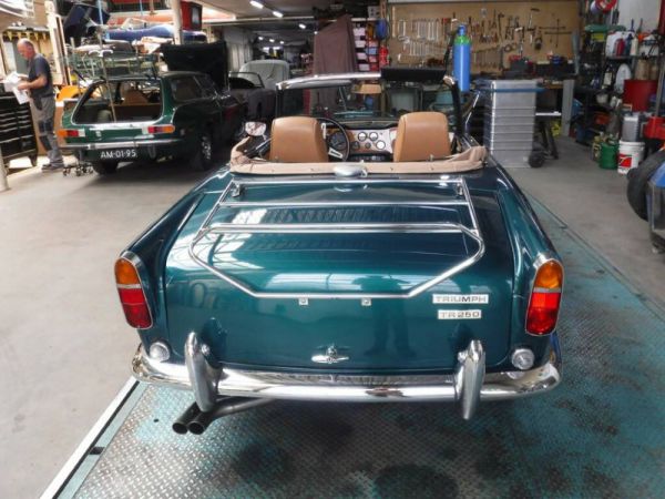 Triumph TR 250 1968 55113