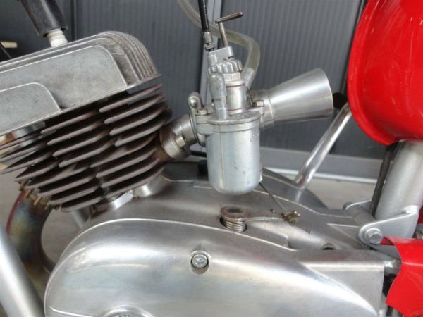 Beta Camoscio 48 1964 110608