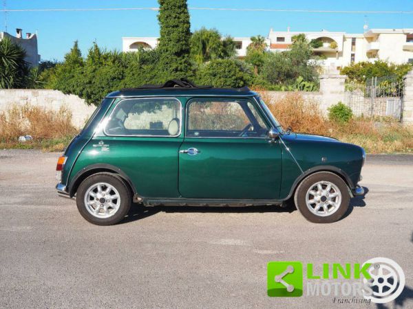 Rover Mini 1.3i 1996 103156