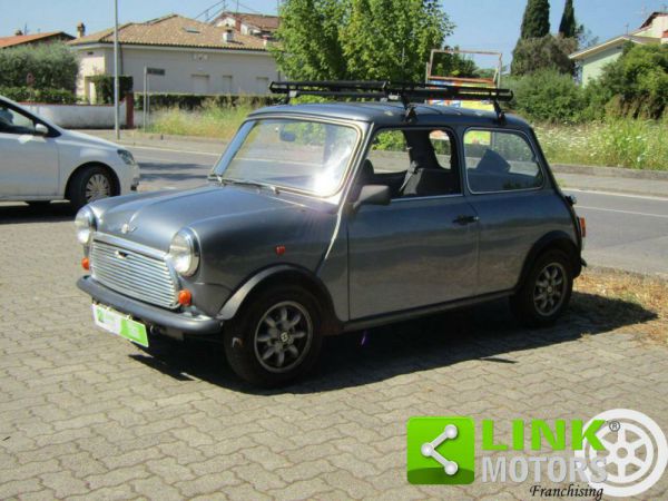 Rover Mini Cooper 1,3 1991 103662